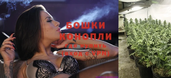 мет Богданович