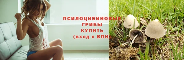 метадон Богородск